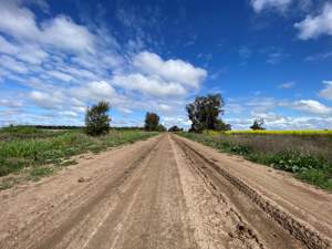 Planning the Future - Narromine's Local and Regional Network